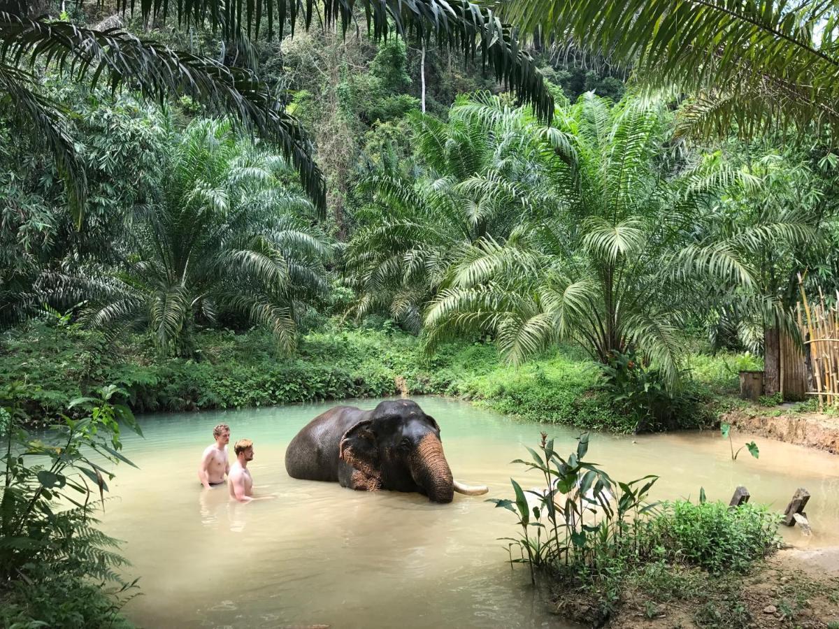 Khao Sok River Home Resort Khao Sok National Park Exteriör bild