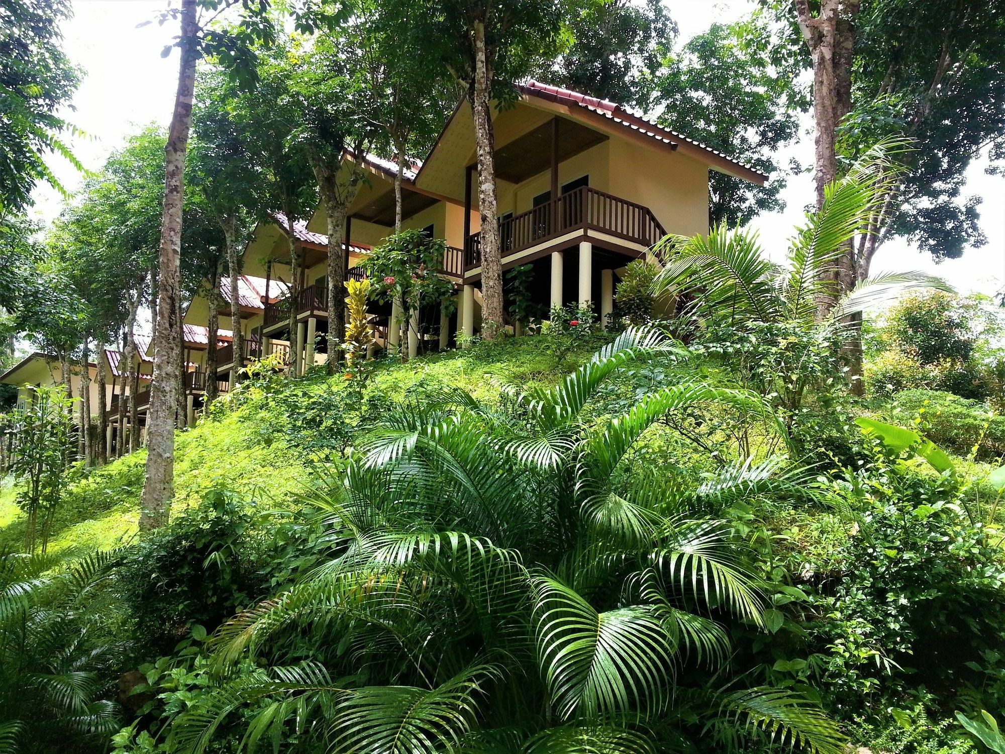 Khao Sok River Home Resort Khao Sok National Park Exteriör bild